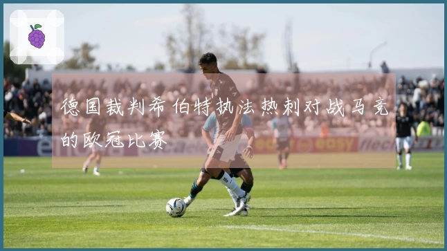 德国裁判希伯特执法热刺对战马竞的欧冠比赛